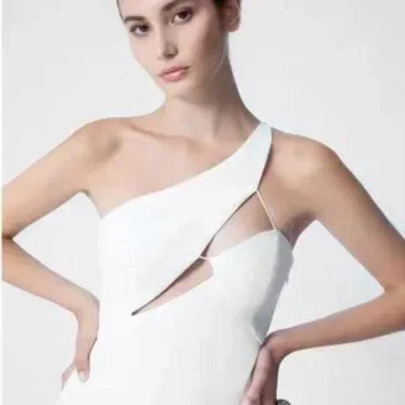 NWT AQ/AQ Pembroke Asymmetrical Cut-Out Midi Sheath Dress, Size 4, White - Picture 2 of 4